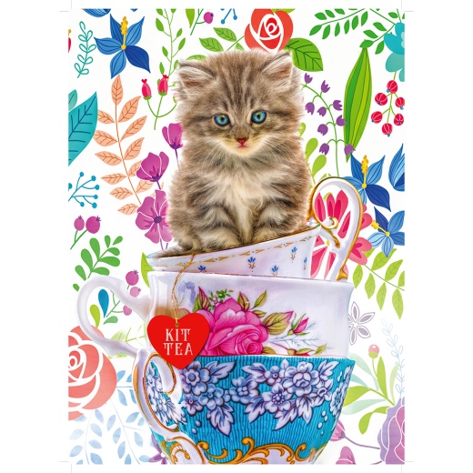 Ravensburger Pussel - Kitten in a cup 500 Bitar i gruppen  hos Spelexperten (10215037)