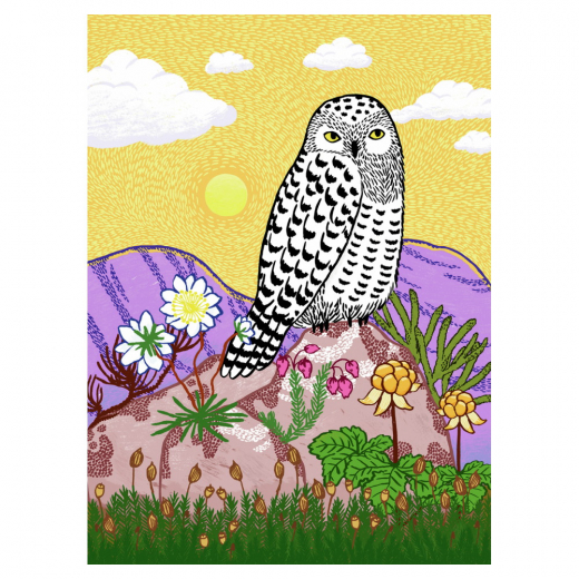 Ravensburger Pussel: Snowy Owl 500 Bitar i gruppen PUSSEL / < 750 bitar hos Spelexperten (12002020)
