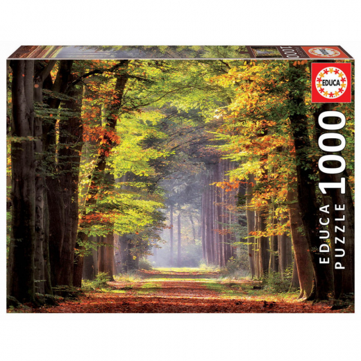 Educa Pussel: Fall Walkway 1000 Bitar i gruppen  hos Spelexperten (19021)