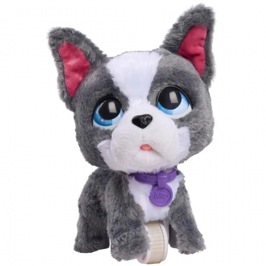 FurReal Walk-A-Lots - French Bulldog i gruppen LEKSAKER / Interaktiva leksaker hos Spelexperten (272-28161)