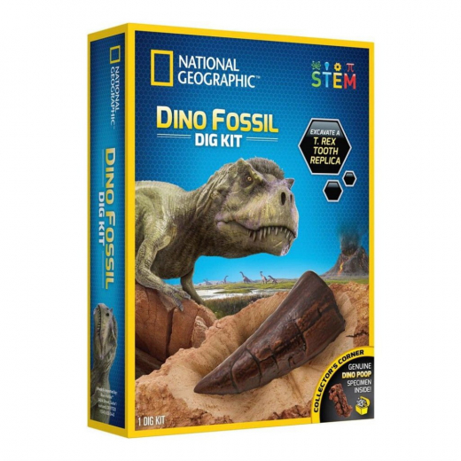 National Geographic Dinosaur Dig Kit i gruppen LEKSAKER / Experiment & teknik hos Spelexperten (29-6150)