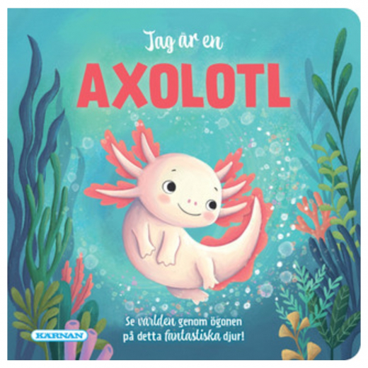 Pekbok - Jag är en Axolotl i gruppen LEKSAKER / Barnböcker hos Spelexperten (450596)