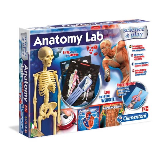 Anatomy Lab i gruppen  hos Spelexperten (5852364)