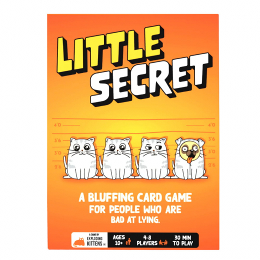 Little Secret i gruppen SÄLLSKAPSSPEL / Festspel hos Spelexperten (ATM9148)