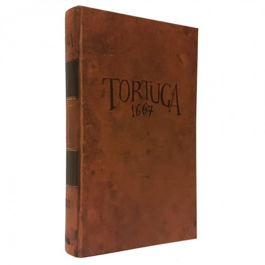 Tortuga 1667 i gruppen SÄLLSKAPSSPEL / Strategispel hos Spelexperten (FCGTT01)