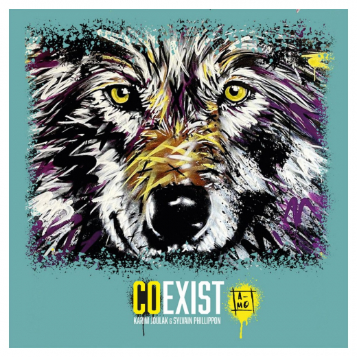 Coexist i gruppen SÄLLSKAPSSPEL / Kortspel hos Spelexperten (MGO1524)