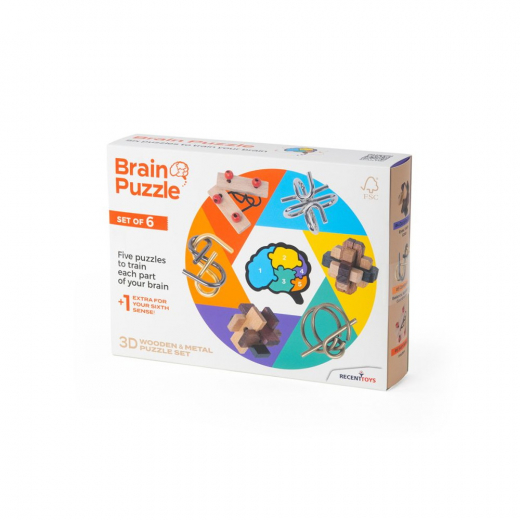 Brain Puzzle Set of 6 i gruppen SÄLLSKAPSSPEL / Knep & knåp hos Spelexperten (RT5144)