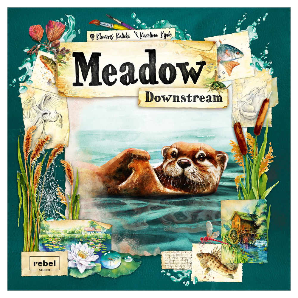 Meadow: Downstream (Exp.)