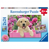 Ravensburger pussel: Me and My Pal 2x24 Bitar
