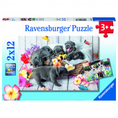 Ravensburger pussel: Small Fur Balls 2x12 Bitar Ravensburger pussel: Small Fur Balls 2x12 Bitar