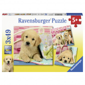 Ravensburger Pussel: Cute Puppy Dogs 3x49 Bitar