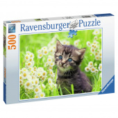 Ravensburger Pussel: Kitten in the Meadow 500 Bitar Ravensburger Pussel: Kitten in the Meadow 500 Bitar