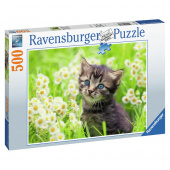 Ravensburger Pussel: Kitten in the Meadow 500 Bitar