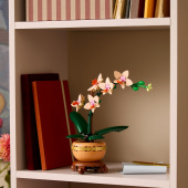 LEGO Botanicals - Miniorkidé LEGO Botanicals - Miniorkidé