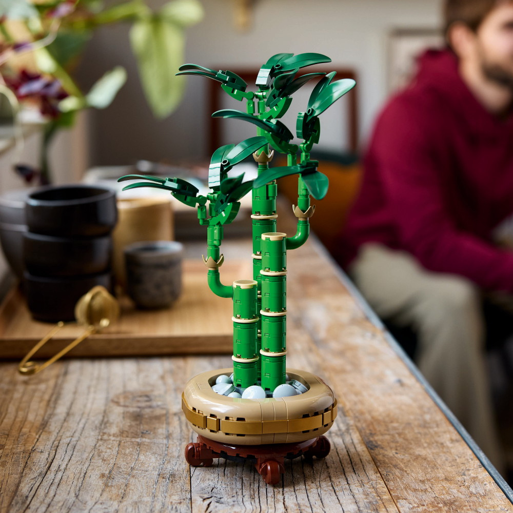 LEGO Botanicals - Bambudracena