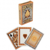 Bicycle Aurora Bicycle Aurora