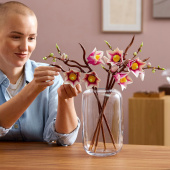 LEGO Botanicals - Magnoliagrenar LEGO Botanicals - Magnoliagrenar