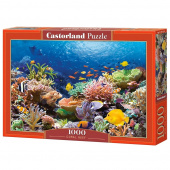 Castorland - Coral Reef Fishes 1000 Bitar