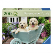 Ravensburger Pussel: Golden Retriever 200 XL Bitar Ravensburger Pussel: Golden Retriever 200 XL Bitar