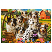 Castorland - Happy Dogs In The Countryside, 1000-bitars Castorland - Happy Dogs In The Countryside, 1000-bitars