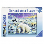 Ravensburger pussel: Polar Animals Gathering 300 Bitar
