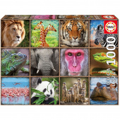 Educa pussel - Wild Animals Collage 1000 Bitar