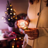 Bulb Fiction,  Tomte Bulb Fiction,  Tomte