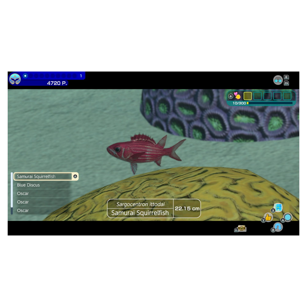 Endless Ocean - Luminous