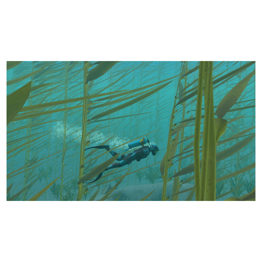 Endless Ocean - Luminous