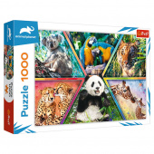 Trefl Pussel: Animal Kingdom 1000 Bitar Trefl Pussel: Animal Kingdom 1000 Bitar