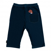 UV-Shorts Dino UV-Shorts Dino