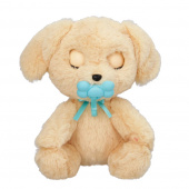 Baby Paws - Labrador Baby Paws - Labrador