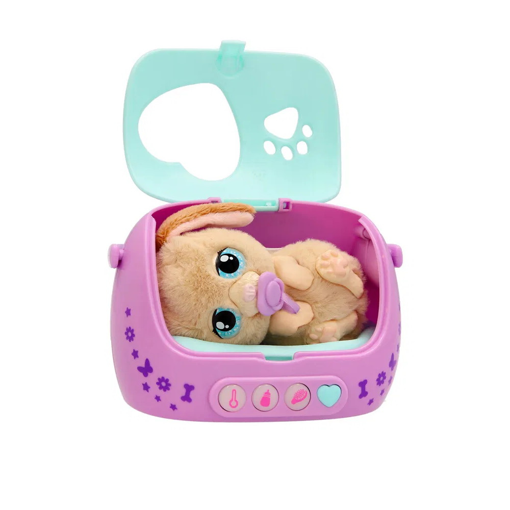 Baby Paws Just Born Puppy