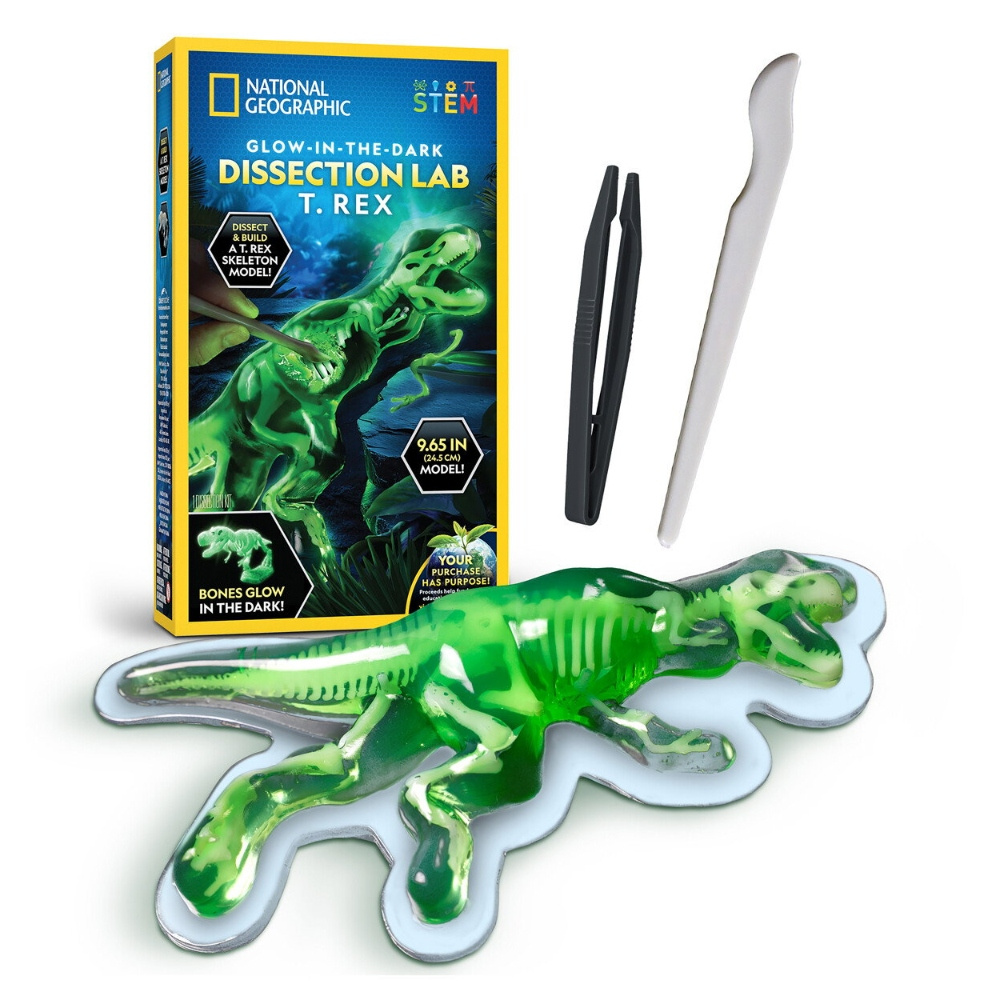 National Geographic Glow in the Dark T.Rex 