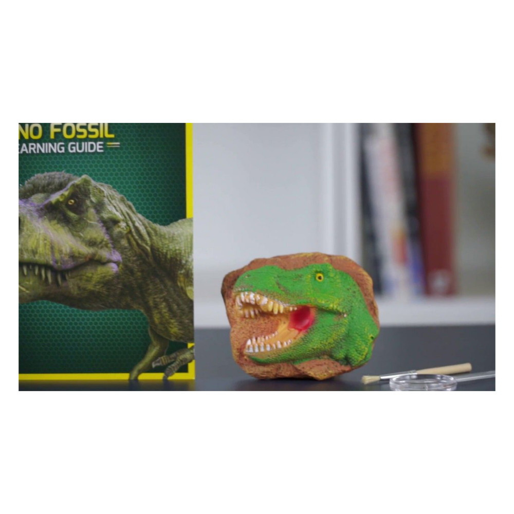 National Geographic Dinosaur Dig Kit