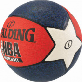 Spalding NBA Highlight sz 7