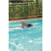 Spring Summer Hajfena Grå Spring Summer Hajfena Grå