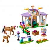 LEGO Friends - Hästträning 