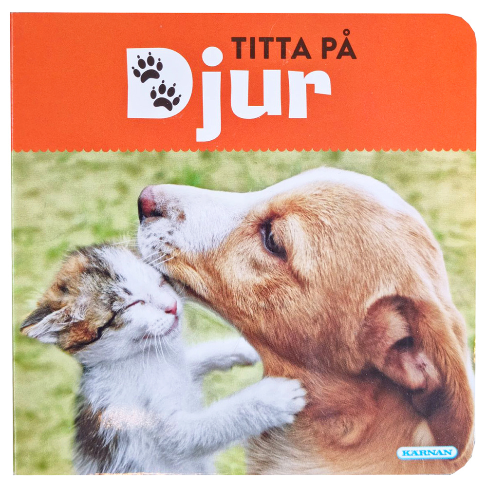Titta På Djur