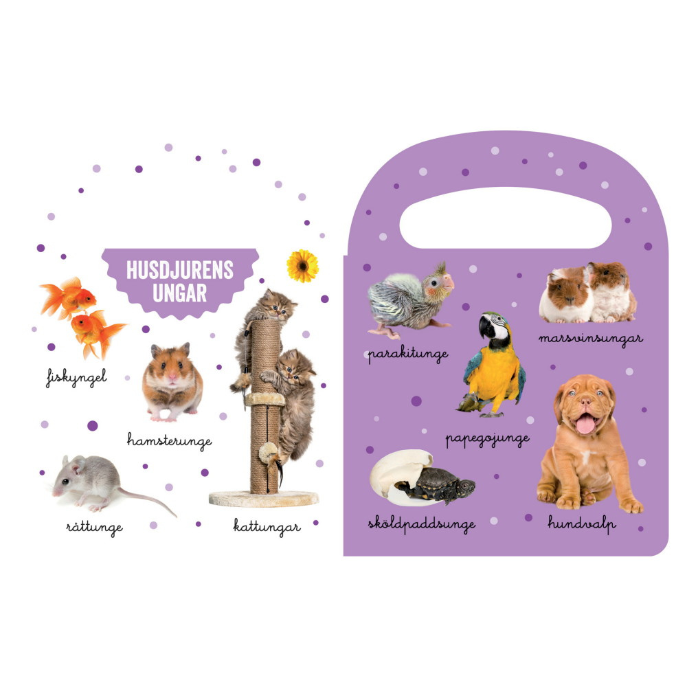 Titta & Lär Djurungar