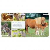 Vi bor på bondgården Vi bor på bondgården