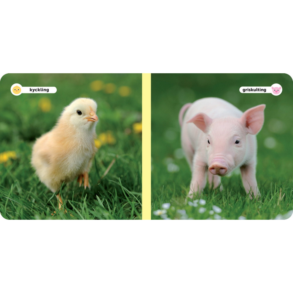 Mina Djurvänner - Söta Djurungar 