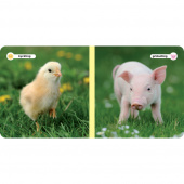 Mina Djurvänner - Söta Djurungar Mina Djurvänner - Söta Djurungar