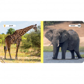 Mina Djurvänner - Vilda Djur Mina Djurvänner - Vilda Djur