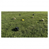 Bex 5Star Family Bex 5Star Family