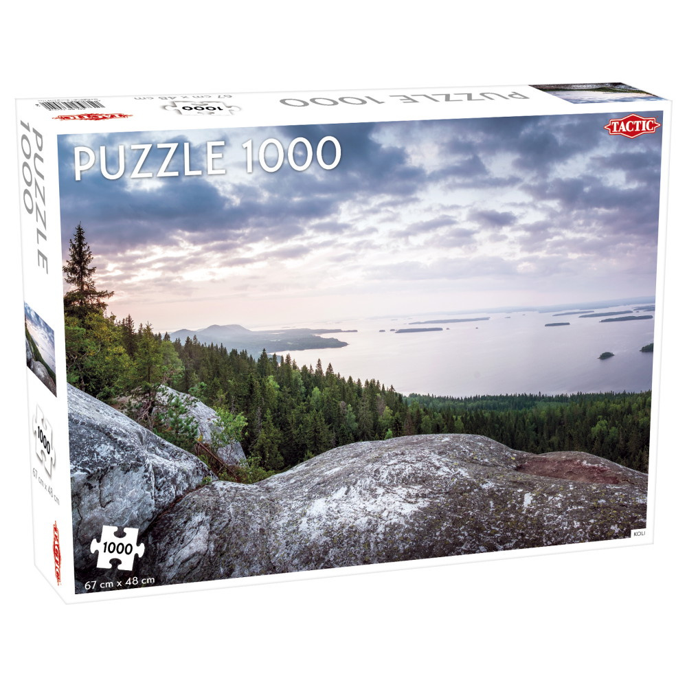 Tactic Pussel: Koli 1000 bitar