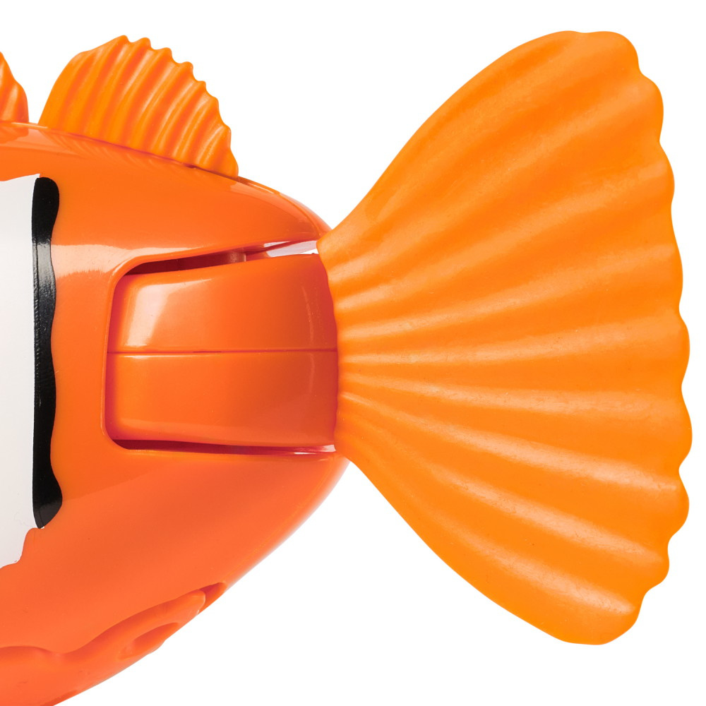 Rainbow Reef Fish Clownfisk