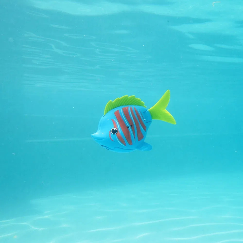 Rainbow Reef Fish Guppie Goldberg