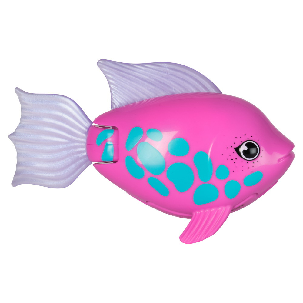 Rainbow Reef Fish Tuna Turner