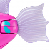 Rainbow Reef Fish Tuna Turner Rainbow Reef Fish Tuna Turner